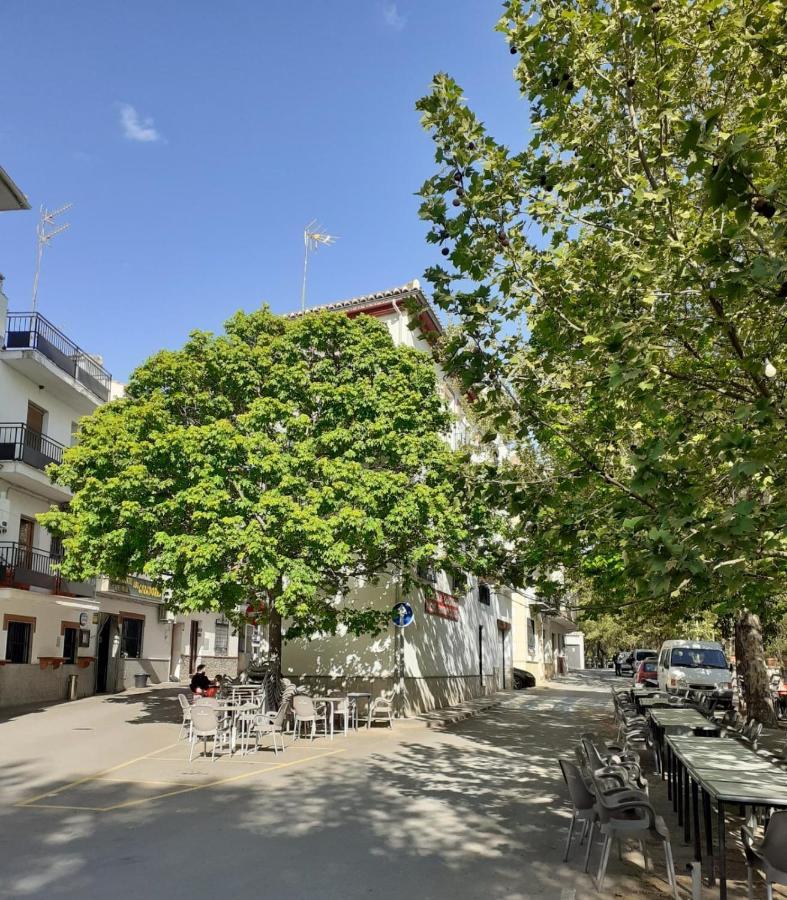 Apartamentos Pinos Genil Ngoại thất bức ảnh